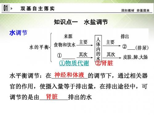 水和无机盐平衡的调节