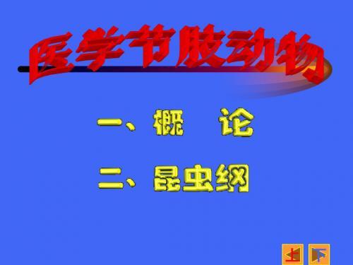12 医学节肢动物概论