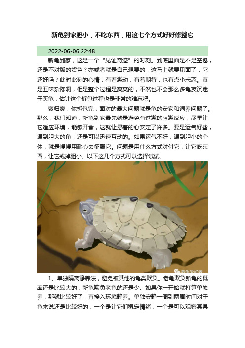 新龟到家胆小，不吃东西，用这七个方式好好修整它