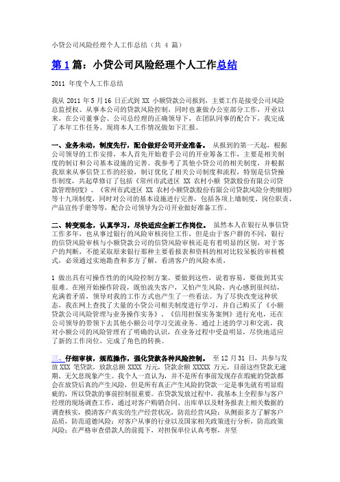 小贷公司风险经理个人工作总结(共4篇)