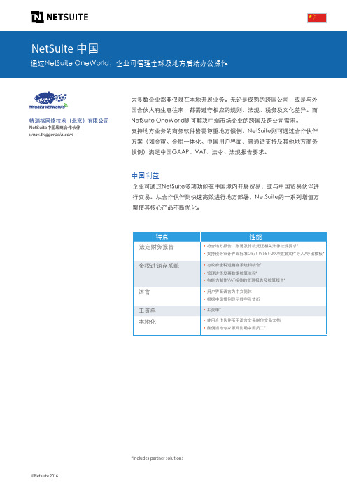 NetSuite中国财务本土化