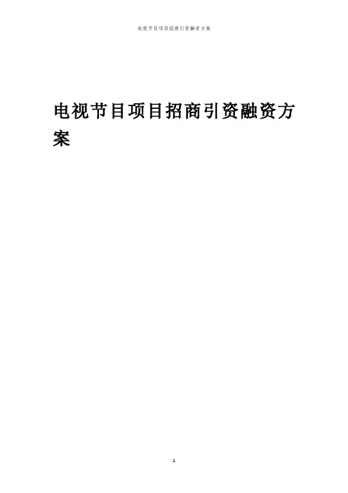 2023年电视节目项目招商引资融资方案