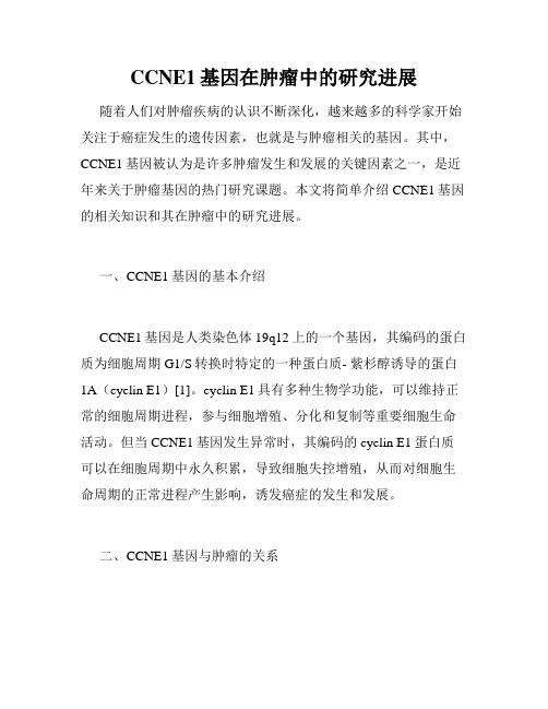 CCNE1基因在肿瘤中的研究进展