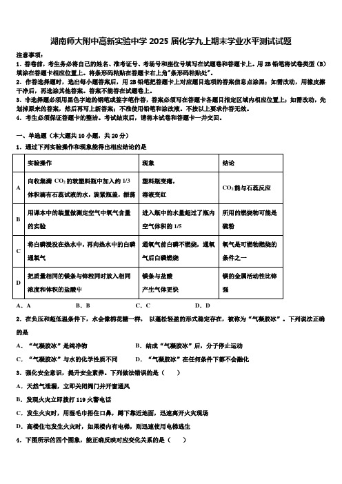 湖南师大附中高新实验中学2025届化学九上期末学业水平测试试题含解析