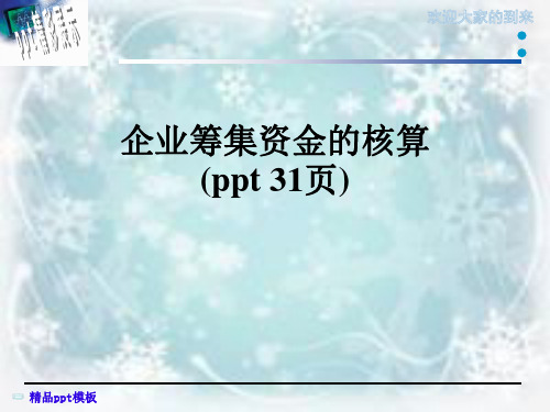 企业筹集资金的核算(ppt 31页)