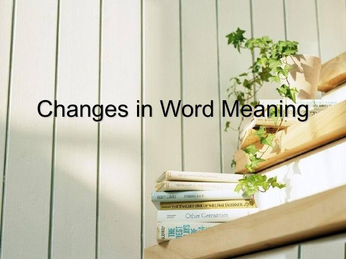 Changes in Word Meaning