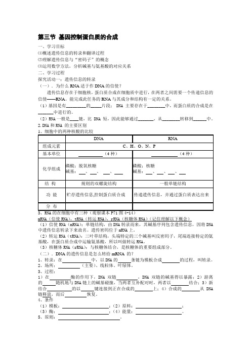 苏教版第三节《基因控制蛋白质的合成》word教案