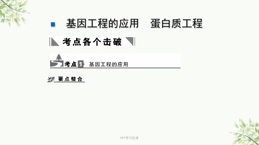 基因工程的应用蛋白质工程ppt课件