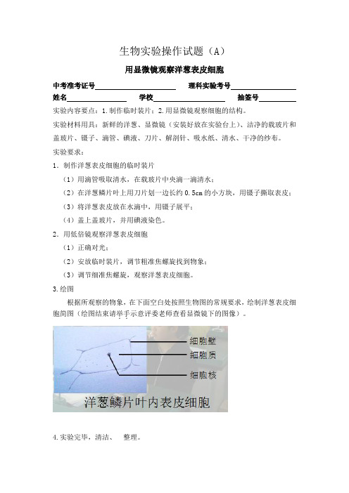 生物实验操作试题、评价表