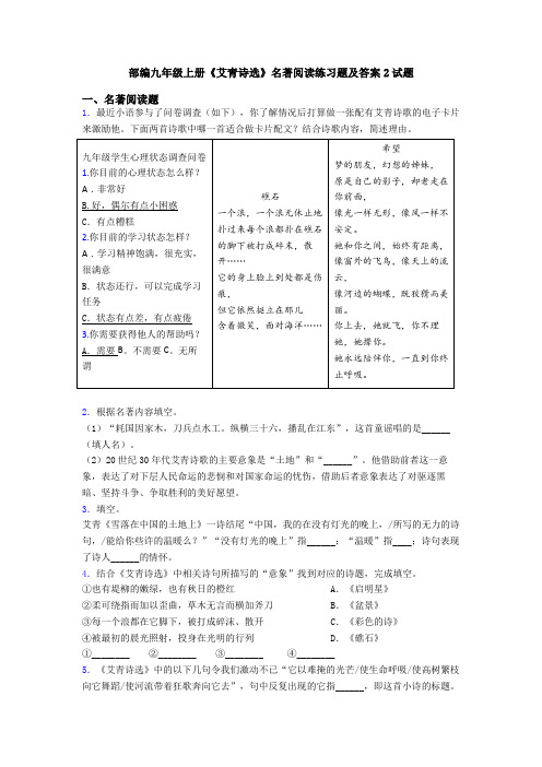 部编九年级上册《艾青诗选》名著阅读练习题及答案2试题