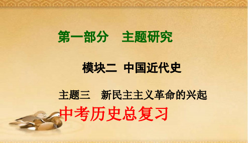 2018年新课标人教版初中中考历史第一轮复习课件13(专题拔高特训)