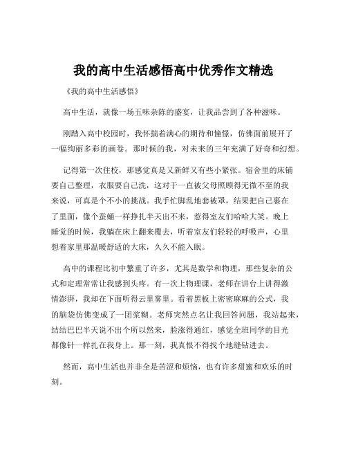 我的高中生活感悟高中优秀作文精选