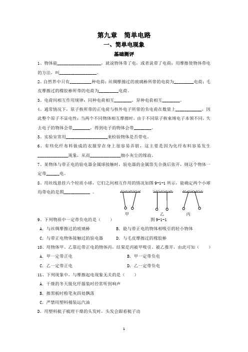 初中物理专题第9章简单电路资料