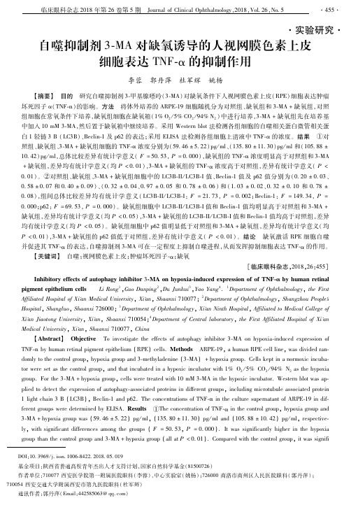 自噬抑制剂3-MA对缺氧诱导的人视网膜色素上皮细胞表达TNF-α的抑制作用