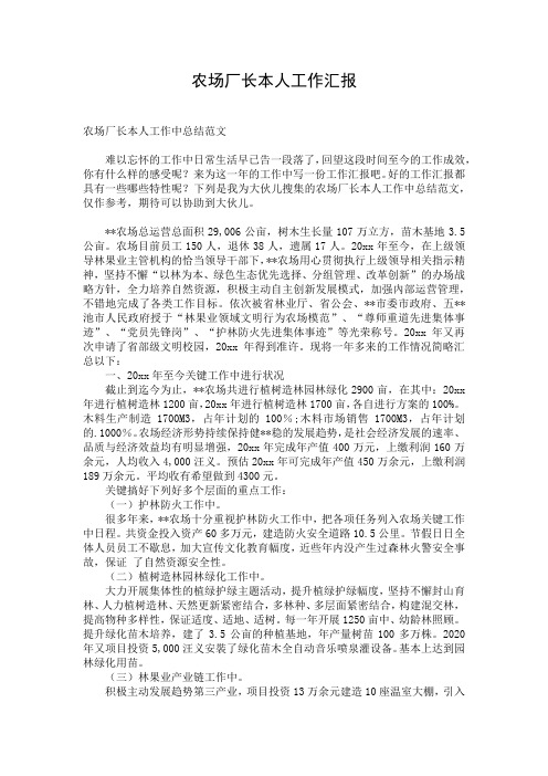 农场厂长本人工作汇报