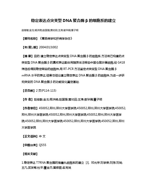 稳定表达点突变型DNA聚合酶β的细胞系的建立