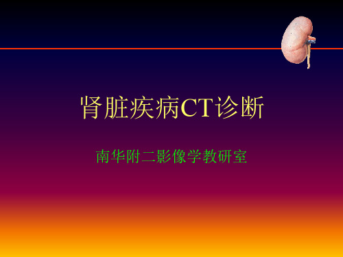 内科学课件-肾脏病变CT诊断