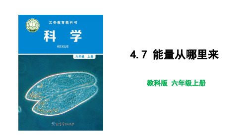 新教科版小学六年级科学上册《能量从哪里来》优质教学课件