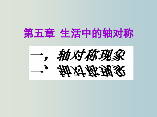 北师大版数学七年级下册5.1轴对称现象课件