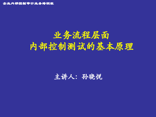 控制测试基本原理_某咨询会计师事务所合伙人_杨昕