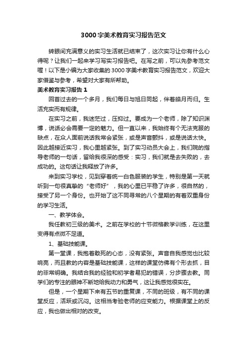 3000字美术教育实习报告范文