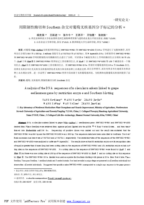 用限制性酶切和Southern杂交对葡萄无核基因分子标记的分析