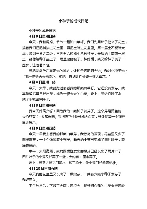 小种子的成长日记