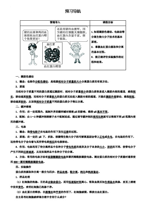 生物人教版选修1学案：预习导航 专题5课题3 血红蛋白的提取和分离 Word版含解析