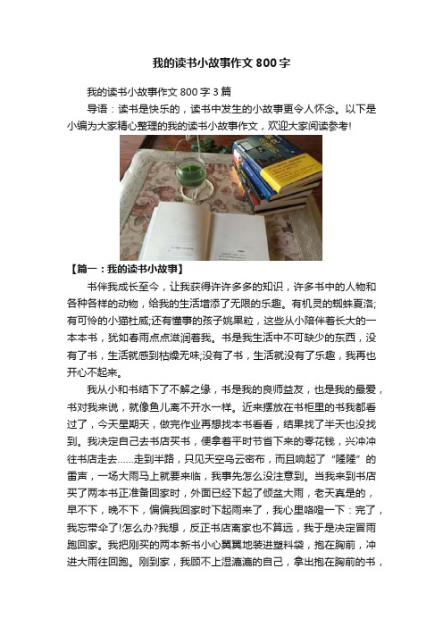 我的读书小故事作文800字