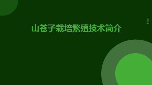 山苍子栽培繁殖技术简介