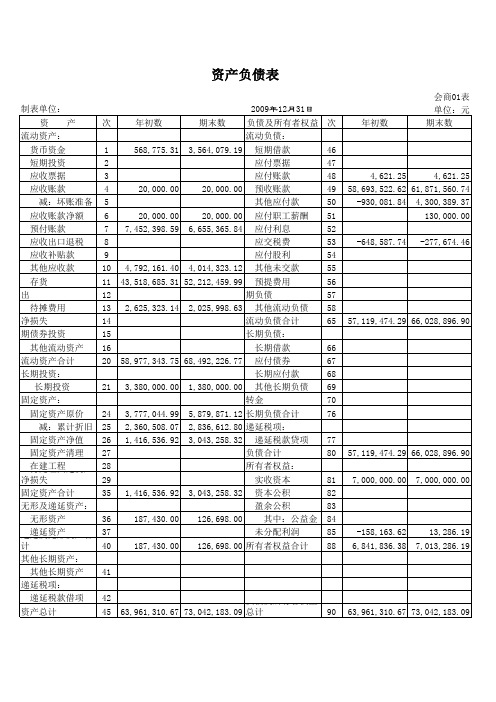 2009年财务年报表