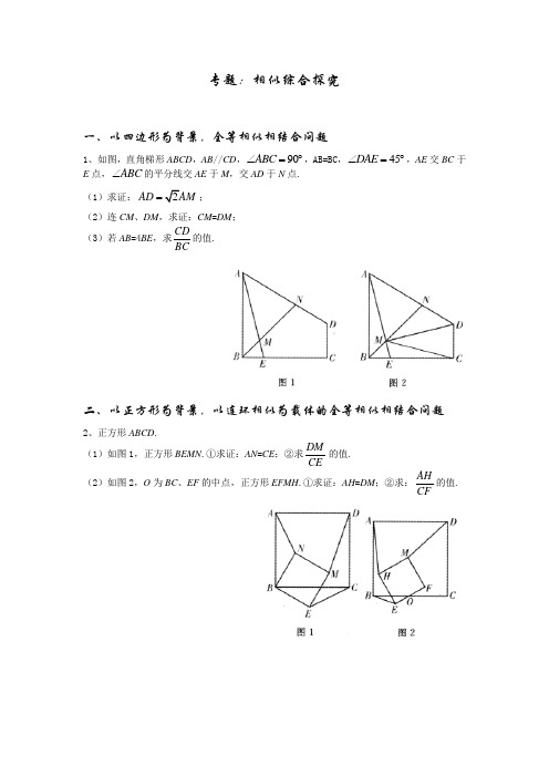 专题 相似综合探究