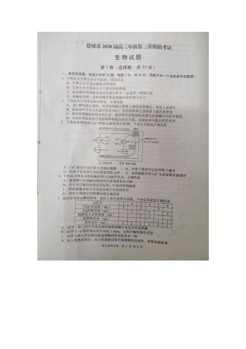 江苏省盐城市2020届高三第三次模拟考试生物试题含答案