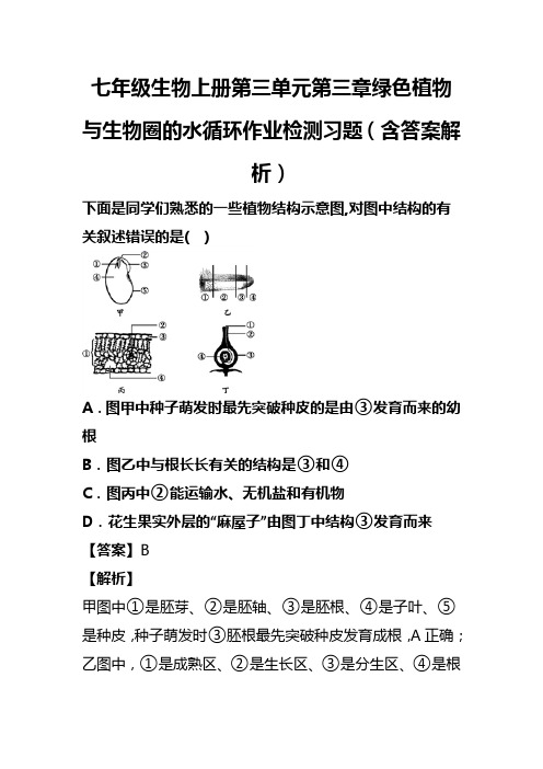 七年级生物上册第三单元第三章绿色植物与生物圈的水循环作业检测习题(含答案解析)(86)