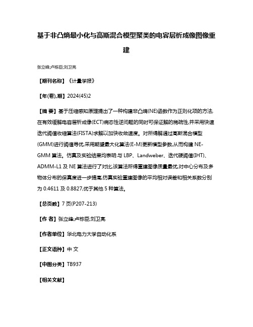 基于非凸熵最小化与高斯混合模型聚类的电容层析成像图像重建