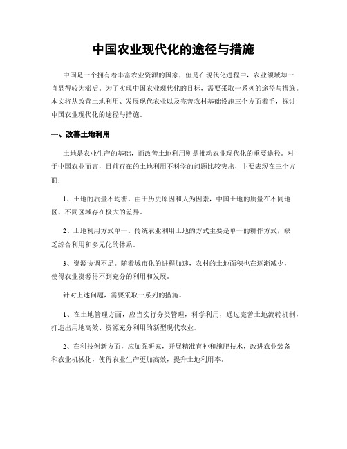 中国农业现代化的途径与措施