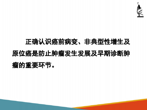 肿瘤—癌前病变、非典型增生和原位癌(病理学课件)