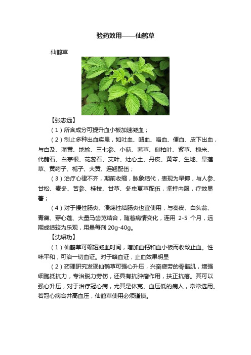 验药效用——仙鹤草