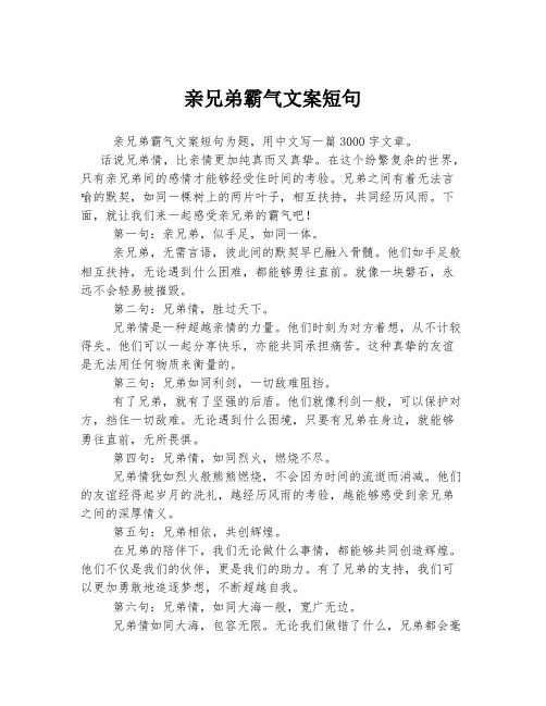 亲兄弟霸气文案短句