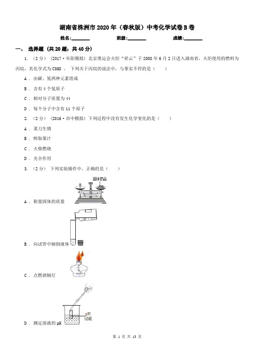 湖南省株洲市2020年(春秋版)中考化学试卷B卷