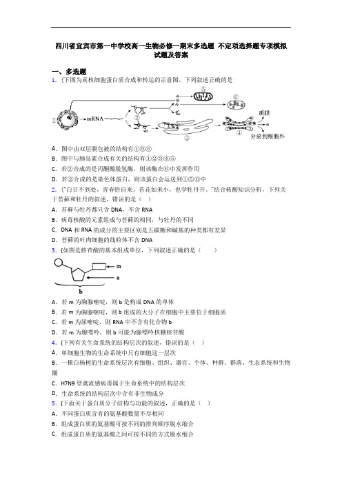 四川省宜宾市第一中学校高一生物必修一期末多选题 不定项选择题专项模拟试题及答案