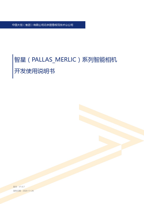 大恒(PALLAS_MERLIC)系列智能相机开发使用说明书