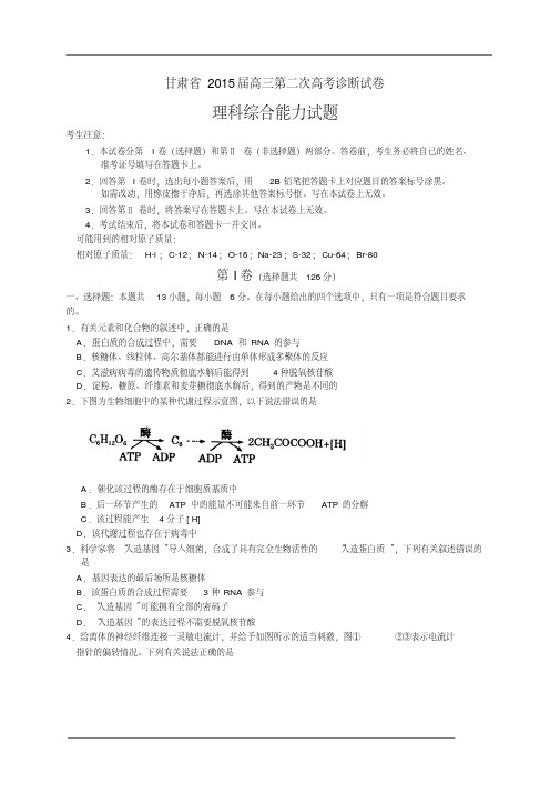 甘肃省2015届高三第二次高考诊断性考试理综试题