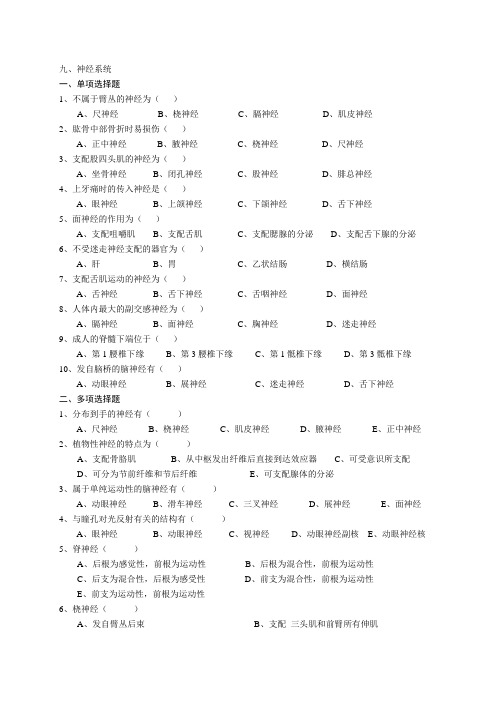 神经系统解剖学自测题