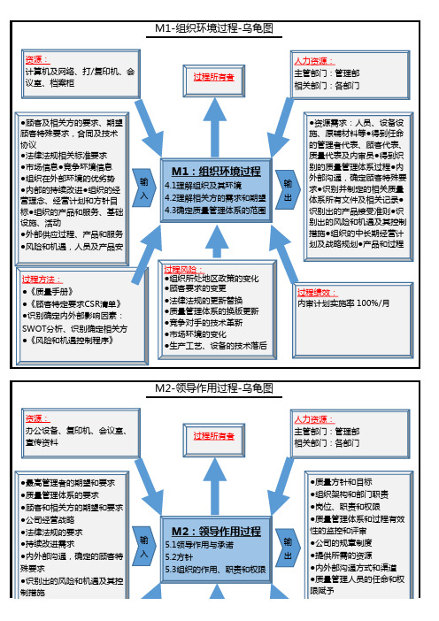 iatf16949-2016管理过程乌龟图案例