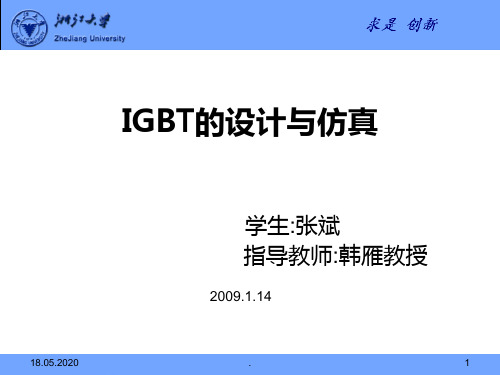 IGBT的设计与仿真(张斌)PPT课件