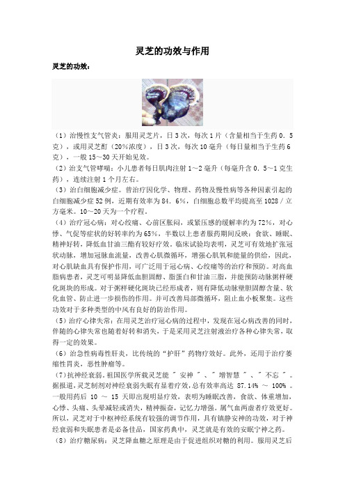 灵芝的功效与作用(整理)