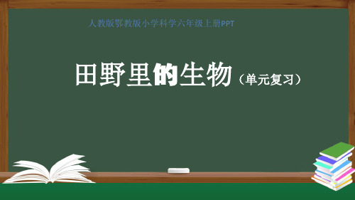 人教版鄂教版小学科学六年级上册PPT《田野里的生物(单元复习)》