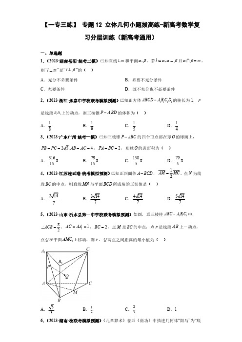 专题12 立体几何小题拔高练(原卷版)