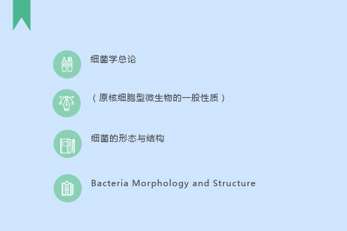 细菌特殊结构生理